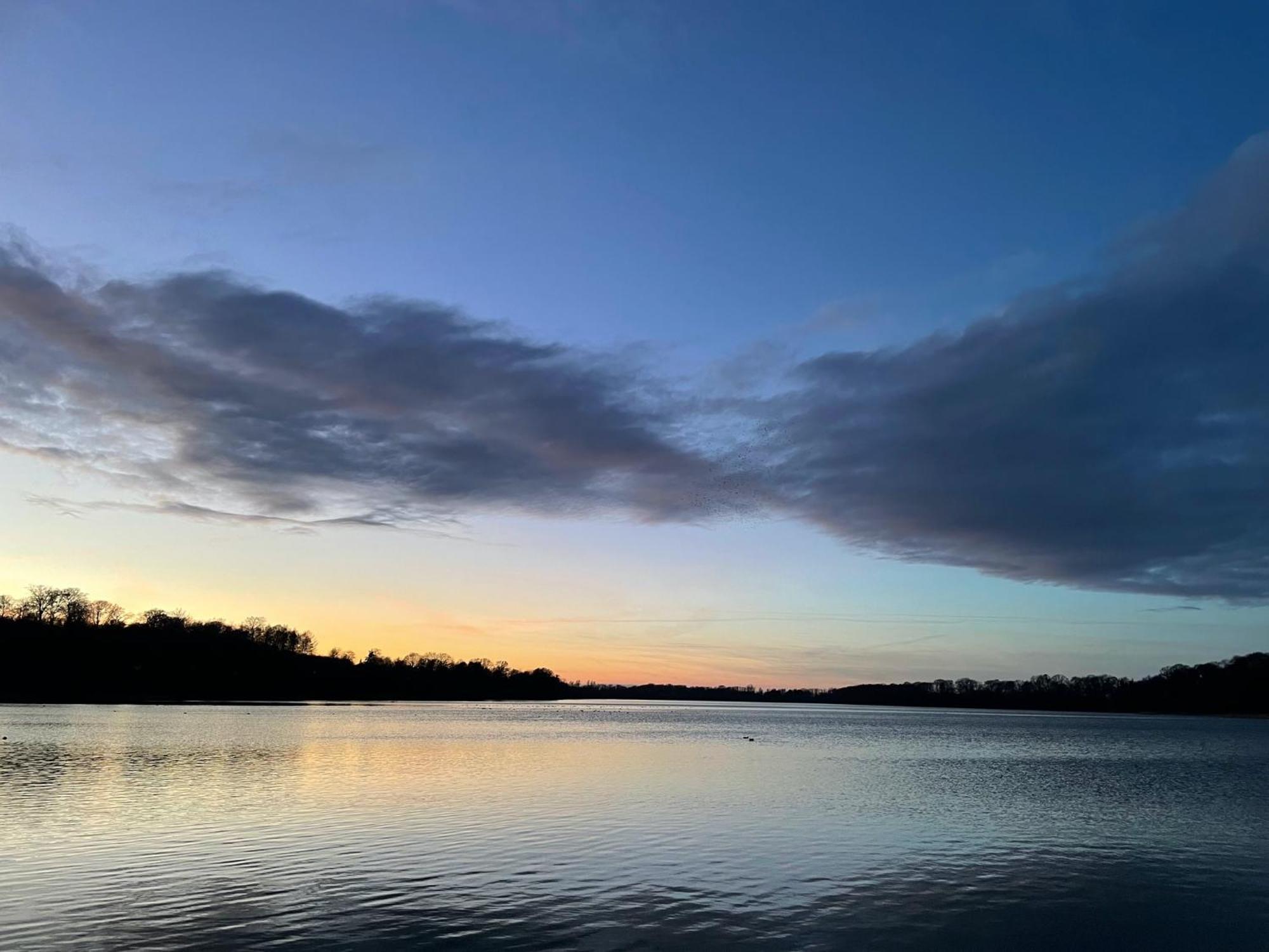 Cozy Private Annex Near Bathing Lake And 30 Min. From Copenhagen Slangerup Екстер'єр фото
